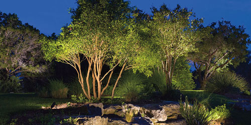 Landscape Lighting