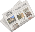 Newspaper