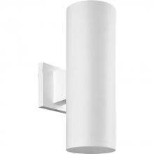 Progress P5713-30 - 5" Non-Metallic Wall Mount Up/ Down Cylinder