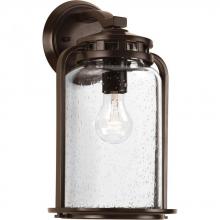 Progress P6050-20 - Botta Collection One-Light Medium Wall Lantern