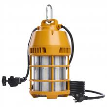 Satco Products S13173 - 100 Watt LED Temporary Work Light; 5000K CCT; 120 Volt