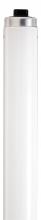 Satco Products S26670 - 60 Watt; T12 Rapid Start Fluorescent; 4100K Cool White; 80 CRI; Recessed Double Contact HO/VHO
