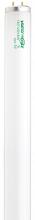 Satco Products S6638 - 40 Watt; T12; Fluorescent; 6500K Day Light; 90 CRI; Medium Bi Pin base
