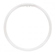 Satco Products S8164 - 40 Watt; T5; Circline Fluorescent; 2700K Warm White; 82 CRI; 4-Pin base
