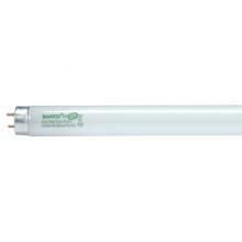 Satco Products S8430 - 32 Watt; T8; Fluorescent; 6500K Daylight; 85 CRI; Medium Bi Pin base