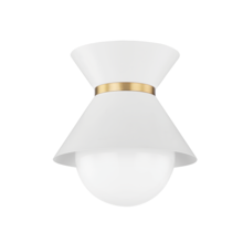 Troy C8610-SWH/PBR - 1 LIGHT FLUSH MOUNT