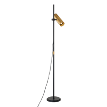 Troy PFL9665-PBR/SBK - QUINN Floor Lamp