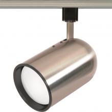 Nuvo TH306C - 1 Light - R30 - Track Head - Bullet Cylinder