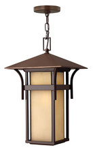 Hinkley 2572AR-LED - Large Hanging Lantern
