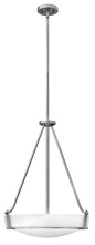 Hinkley 3222AN-LED - Medium Pendant