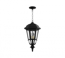 SNOC 21455-CB01C - Jamestown - Ceiling mount with chain closed bottom medium format - 21455